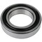 Skf Bearing, 6008-2Rsj 6008-2RSJ - alternate 2